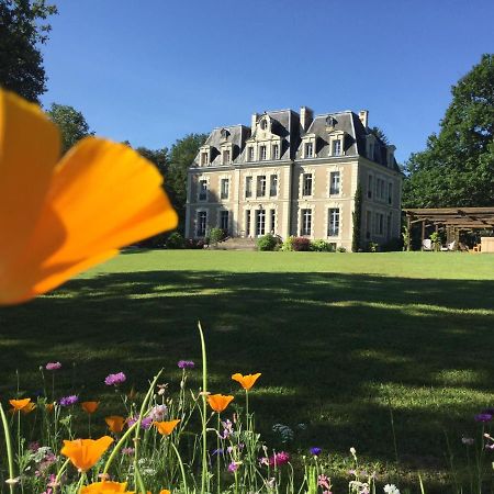 Château des Essards avec piscine et jacuzzi Langeais Exterior foto